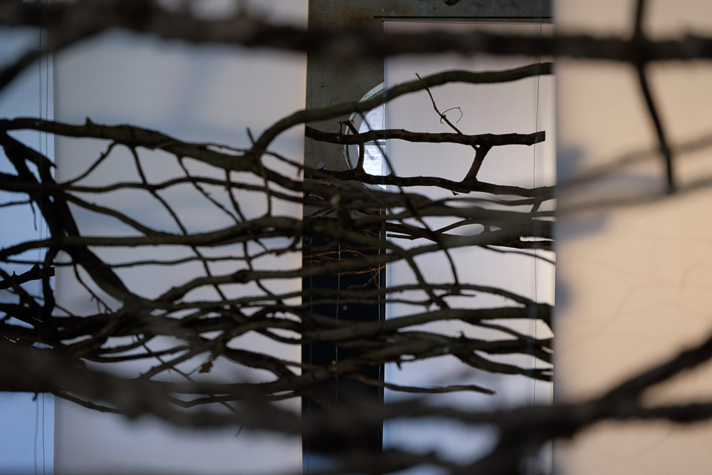 Installation Encounter and Connection 2014 | Photo: Marco Wasser